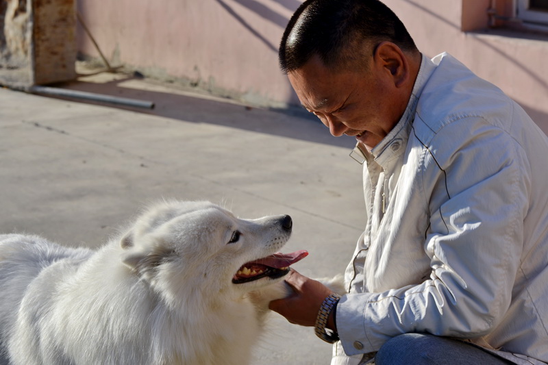 ͨ����   ������