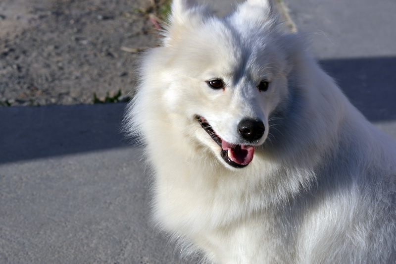 ����   ������