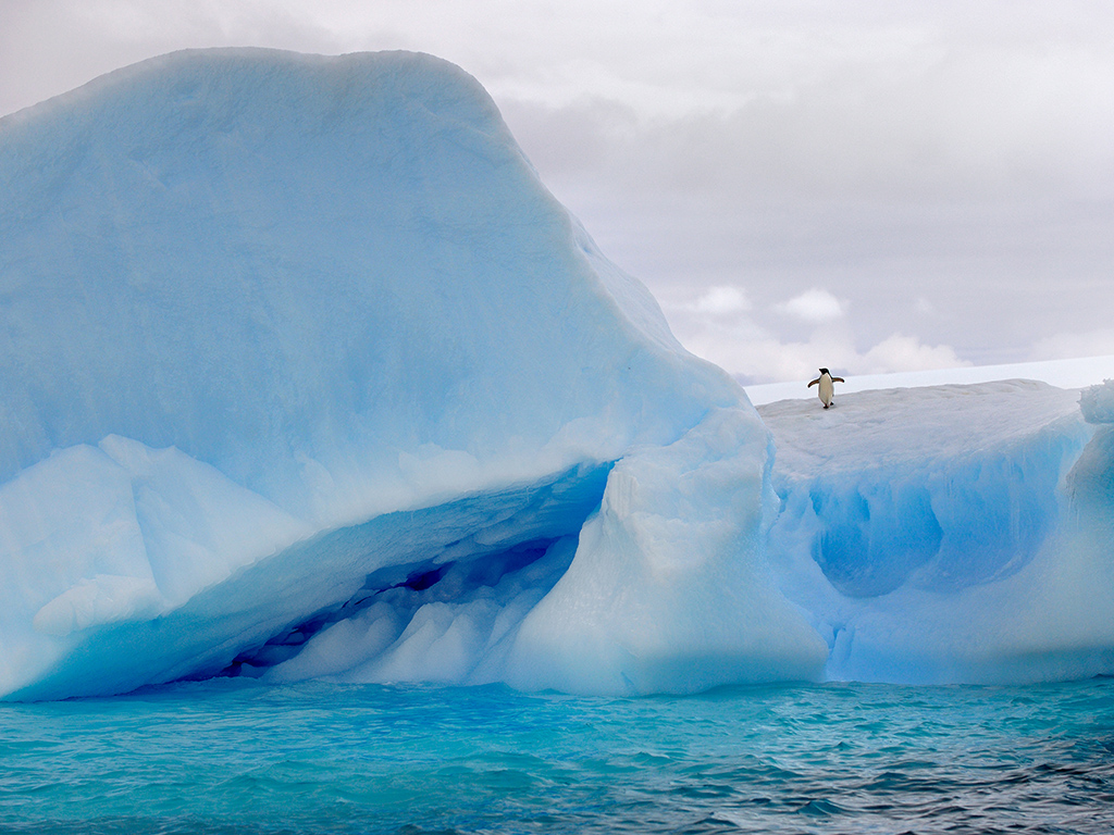 1 UPI��Ȼ��𽱡��¶�����졷Koepf AchimEFIAP-g���¹���.jpg