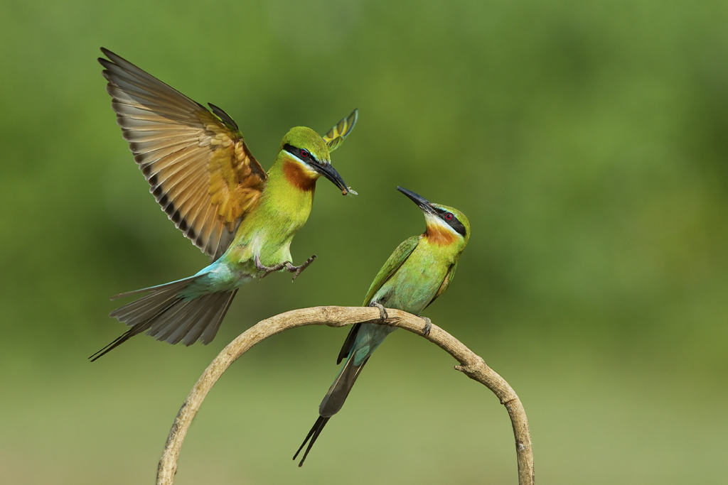 2 UPI��Ȼ��������ȵ����ᡷҶѧ�䣨�й���.jpg