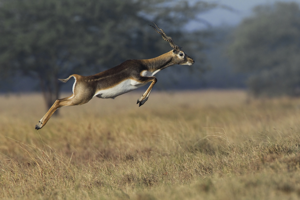 3 UPI��Ȼ��ͭ�����������Ծ��Seetharam VinayakaAFIAP��ӡ�ȣ�.jpg