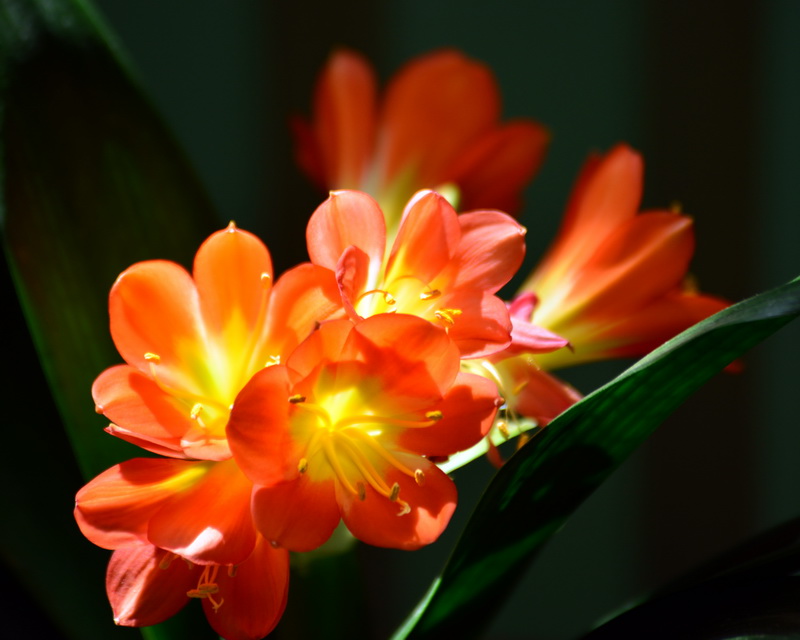 ��  ������