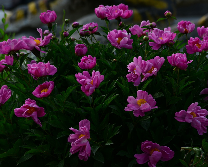 ��   ������