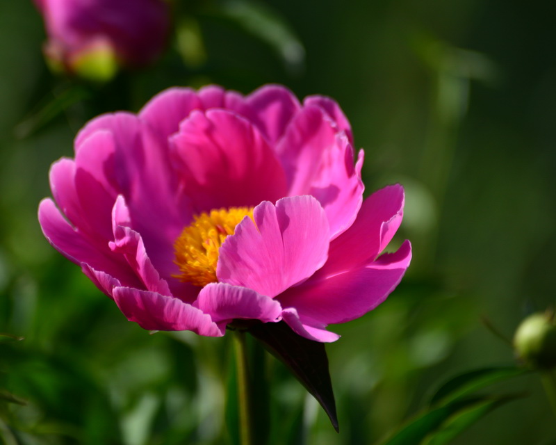 ����    ������