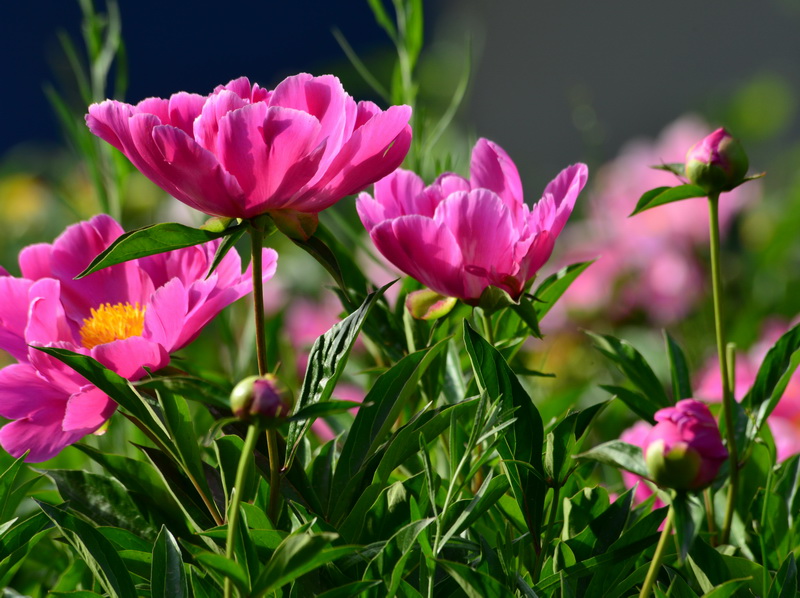 ��   ������