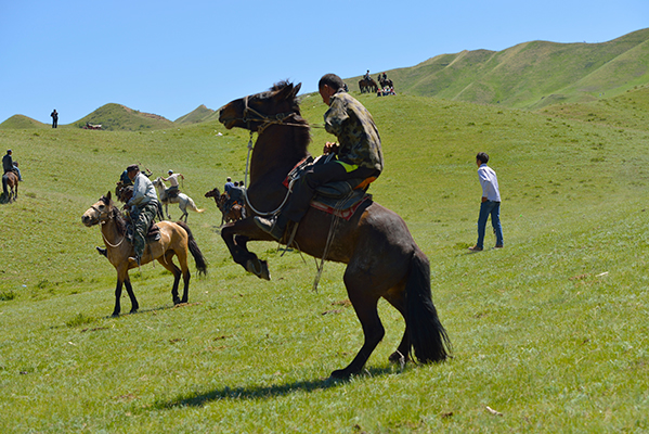 �������Ĺ����˰���