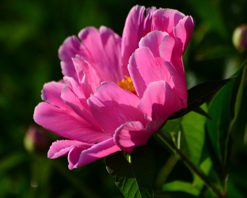 ����   ������