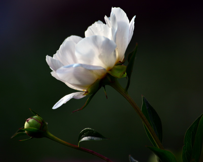 ĸ����   ������