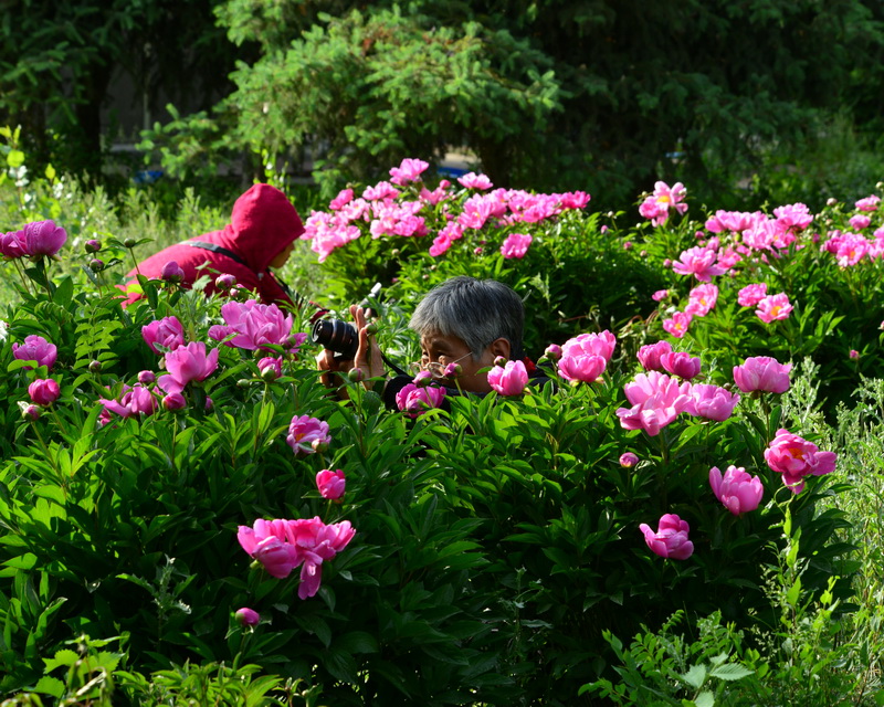 ����  ������