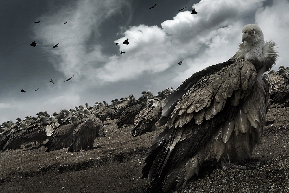 3 FIAP��Ȼ��ͭ�������������������й���.jpg