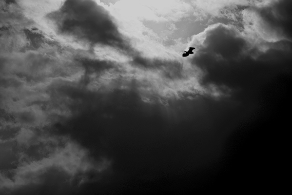 �����꣬����