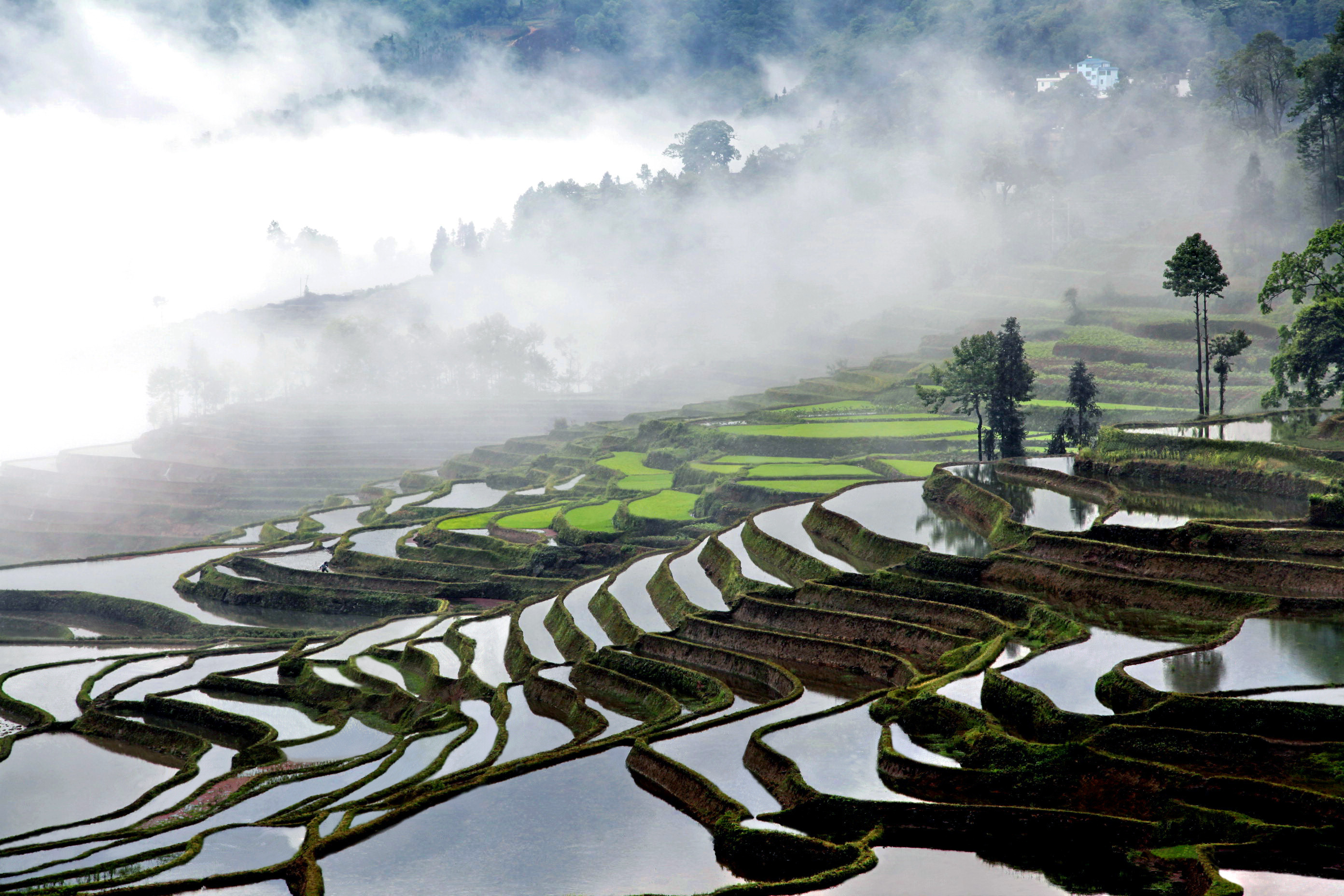 IMG_4916 ����.jpg