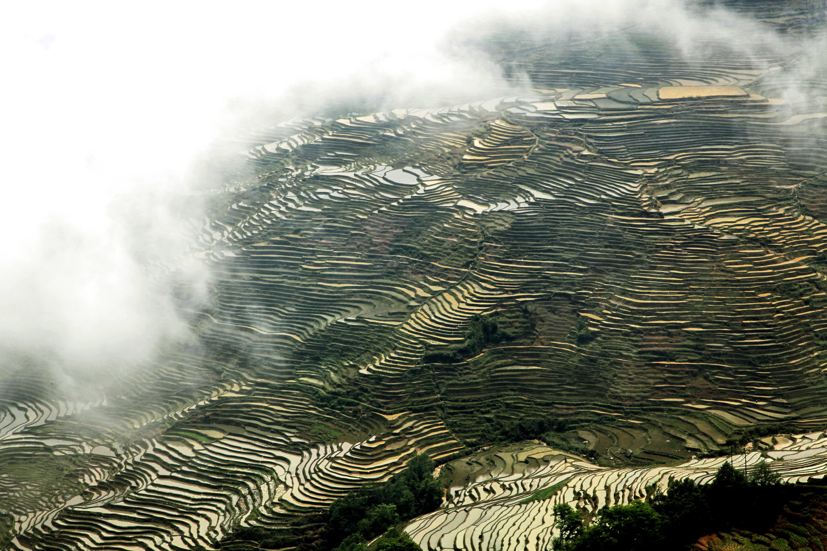 IMG_5353 ����.jpg