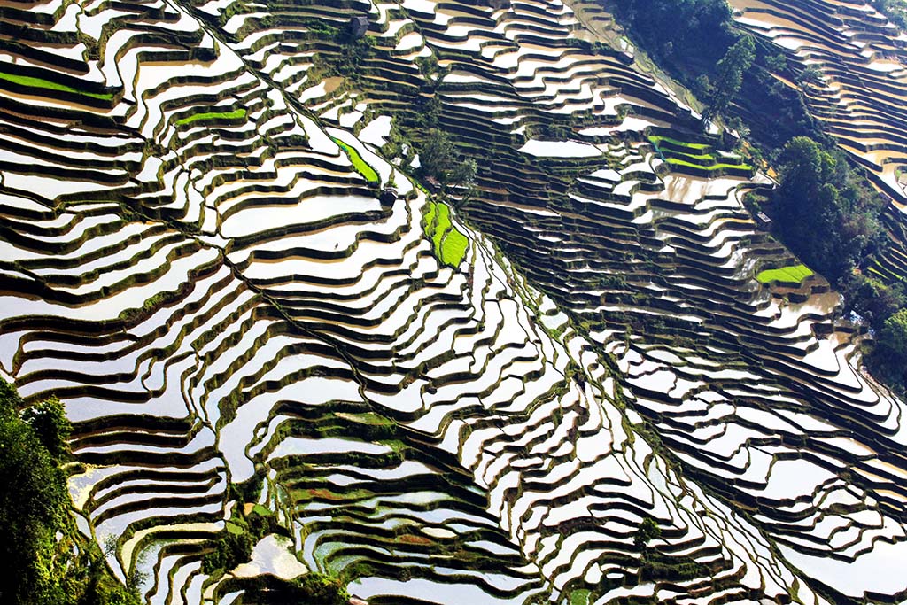 IMG_5699q ����.jpg