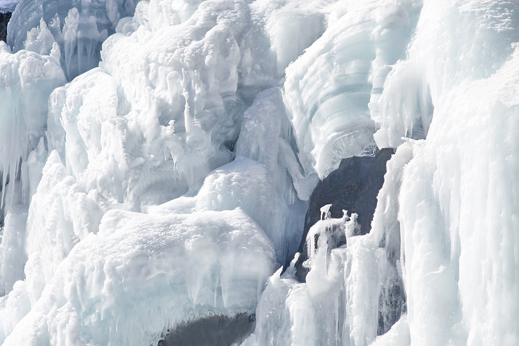 IMG_8842q ����.jpg