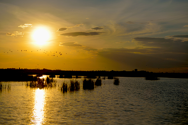 ԡ��������Ӣ��