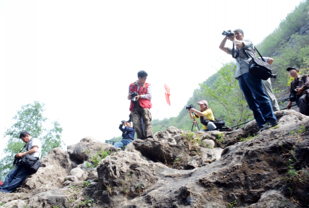 ��Ƭ 161_conew1.jpg