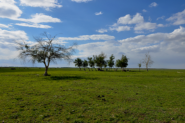 Ģ����ʪ�ط��