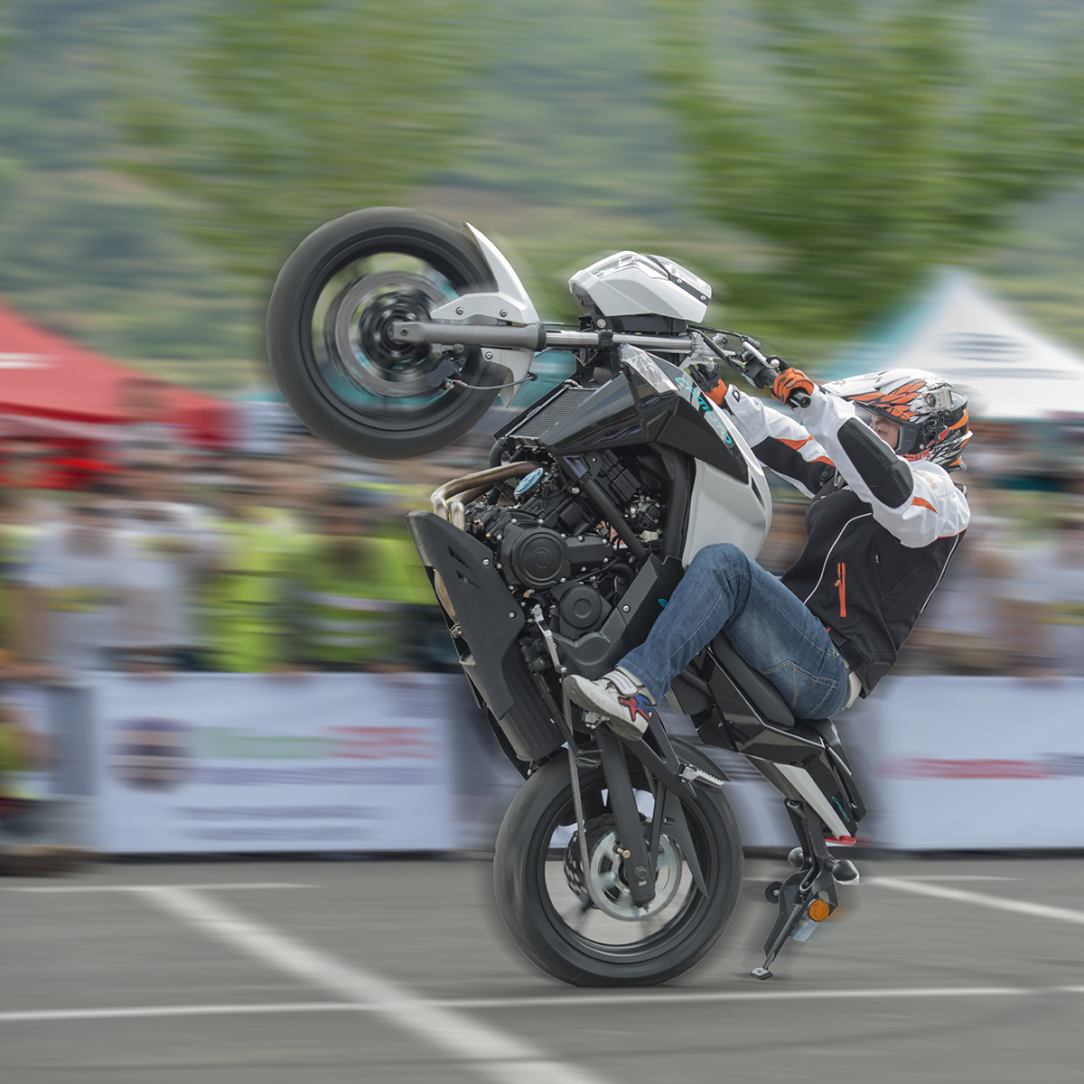 ��������