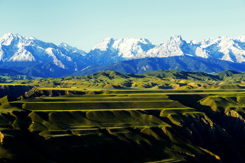 ɽ��   ������