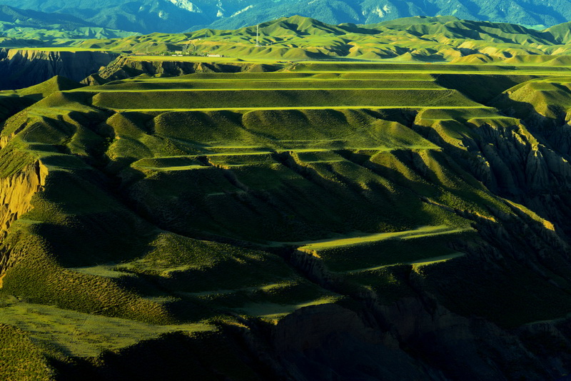 ����   ������