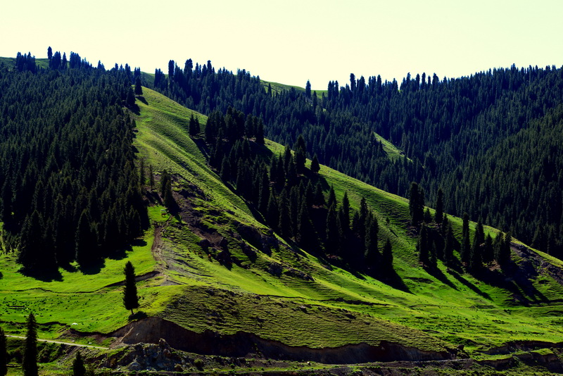 �õط�   ������