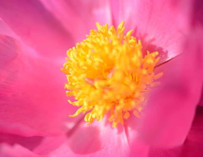 �����￴   ������