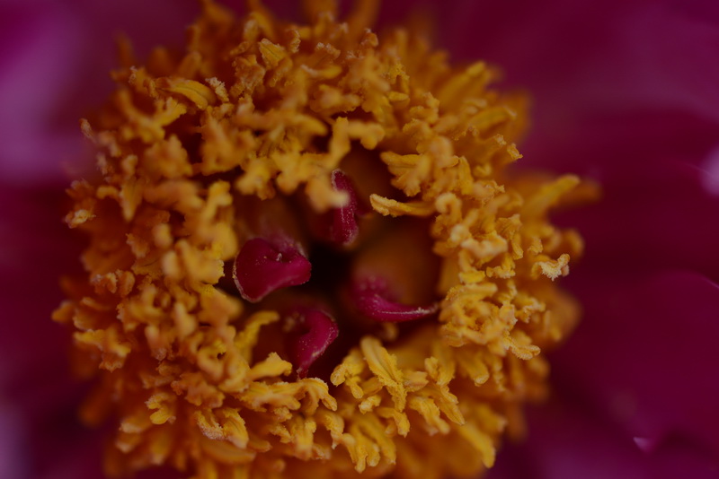 ����    ������