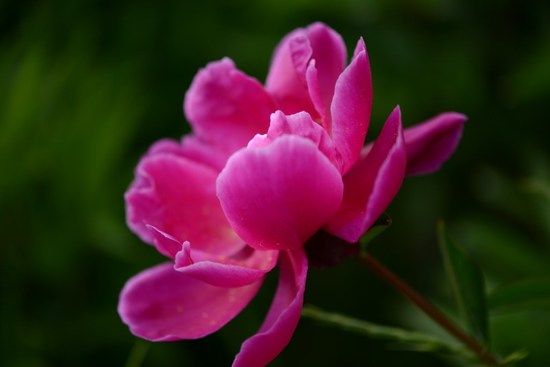 ����   ������