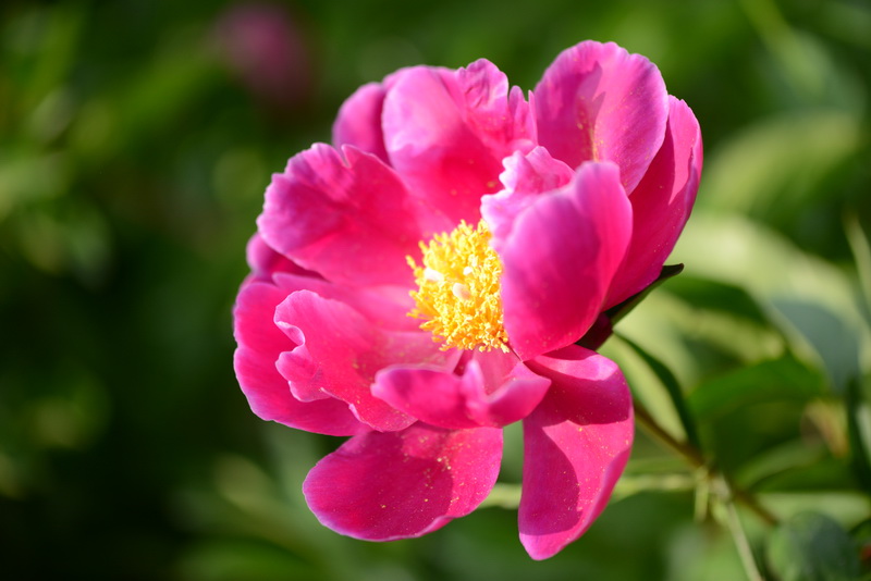 ����   ������