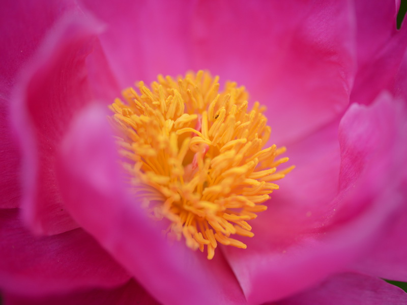 ����   ������