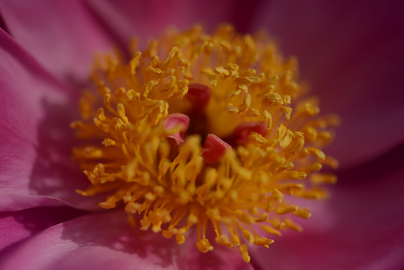 �����￴   ������