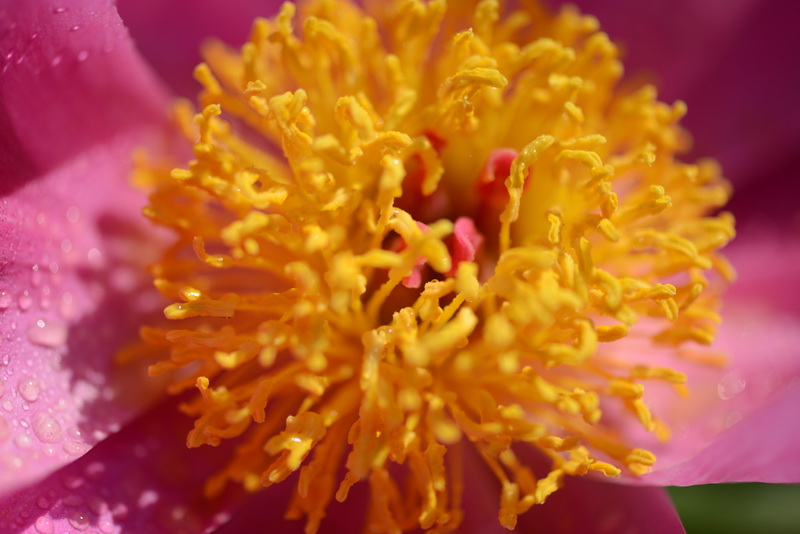 ����   ������