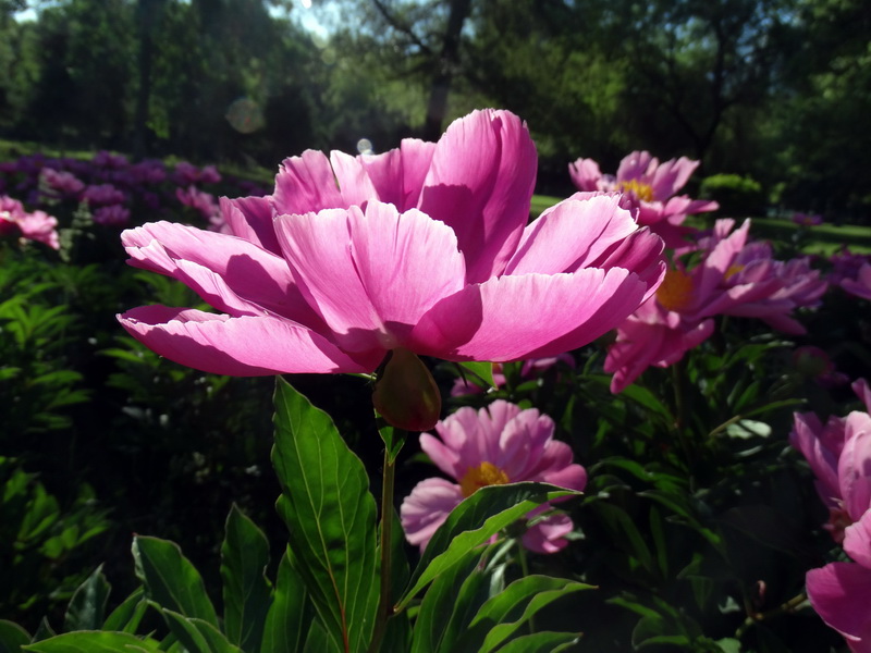 ����   ������