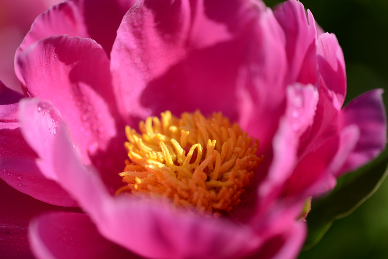 ��   ������