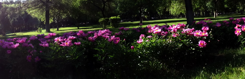 ��ӫĻ��    ������