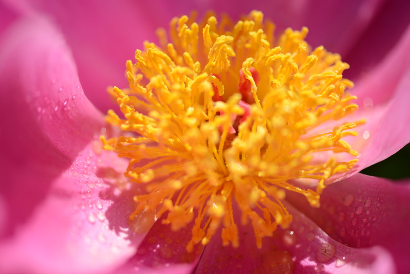 ����    ������