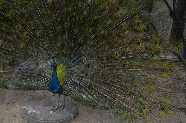 2014��5��9�ձ��� aa16612.jpg