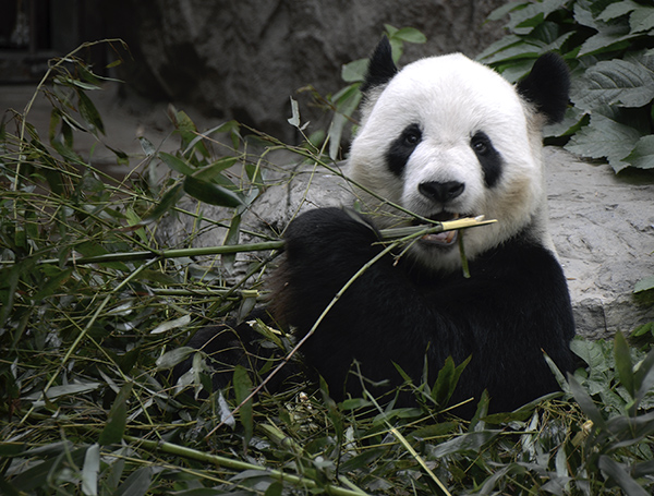 2014��5��9�ձ������� 14612.jpg