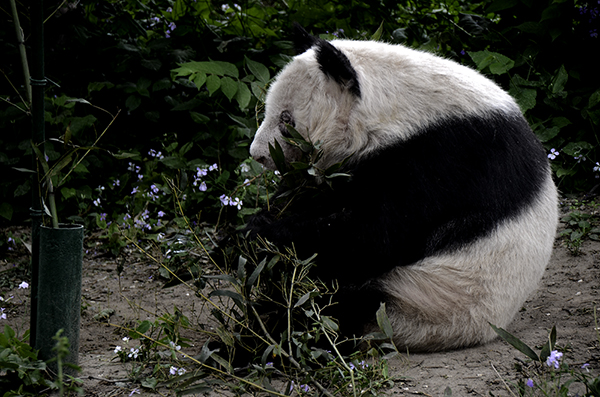 2014��5��9�ձ��� aa14012.jpg