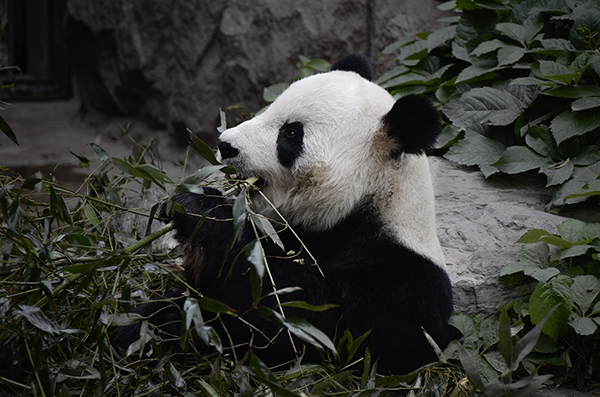 2014��5��9�ձ��� aa14712.jpg