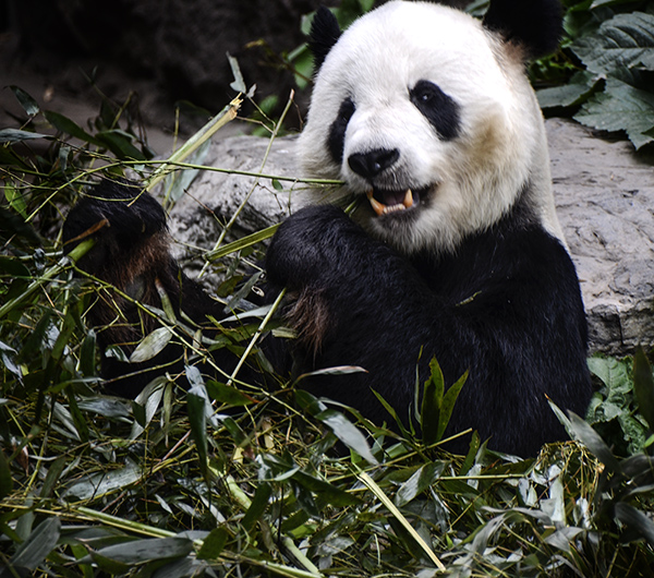 2014��5��9�ձ��� aa15112.jpg