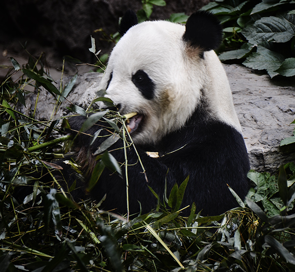 2014��5��9�ձ��� aa14812.jpg