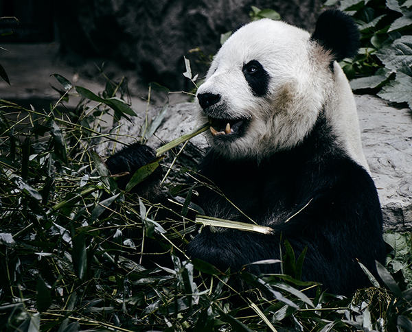 2014��5��9�ձ��� aa15212.jpg