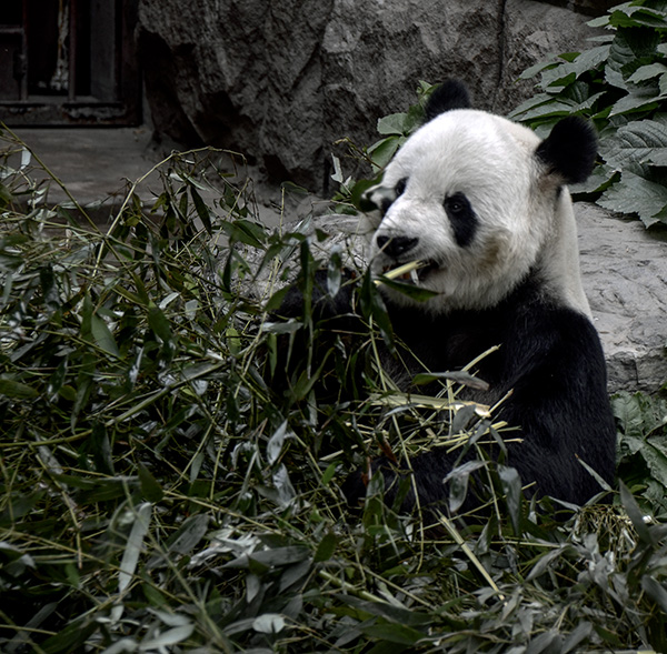 2014��5��9�ձ��� aa15712.jpg