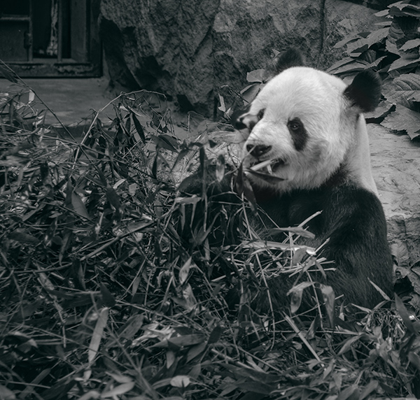 2014��5��9�ձ��� aaa15712.jpg