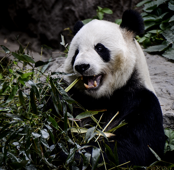 2014��5��9�ձ���aa 15612.jpg