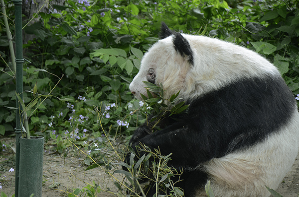 2014��5��9�ձ��� ����13912.jpg