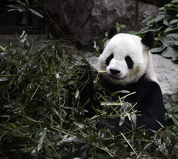 2014��5��9�ձ���aa 15812.jpg