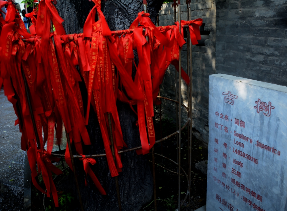 ��Ƭ 059_conew1.jpg